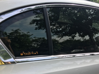 威固常规膜雅尚288.jpg