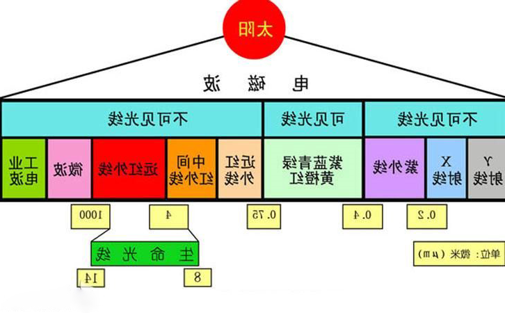 epz3Y74VQmlj-1640231851904.jpg